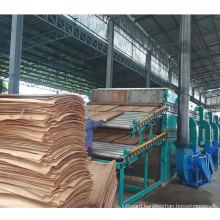 wood veneer drying machine biomass veneer slicer machine